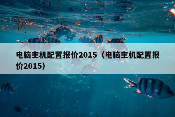 电脑主机配置报价2015（电脑主机配置报价2015）