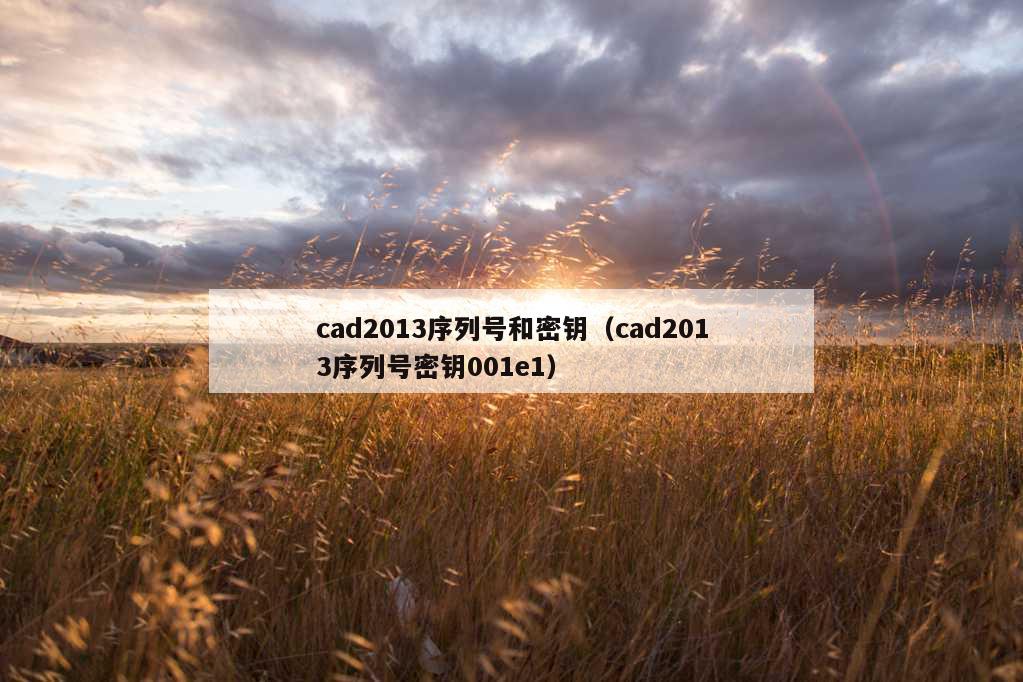 cad2013序列号和密钥（cad2013序列号密钥001e1）