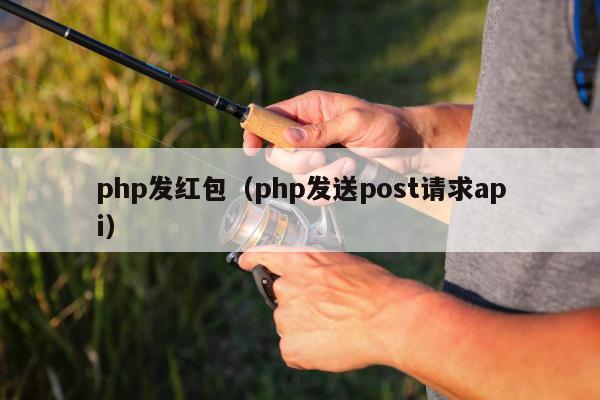 php发红包（php发送post请求api）