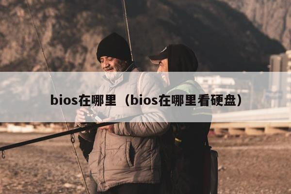 bios在哪里（bios在哪里看硬盘）