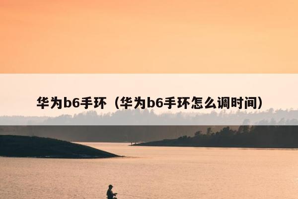 华为b6手环（华为b6手环怎么调时间）