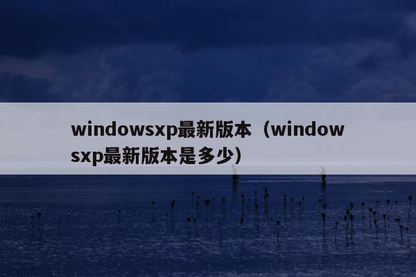 windowsxp最新版本（windowsxp最新版本是多少）