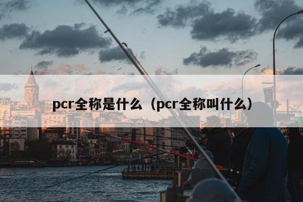 pcr全称是什么（pcr全称叫什么）