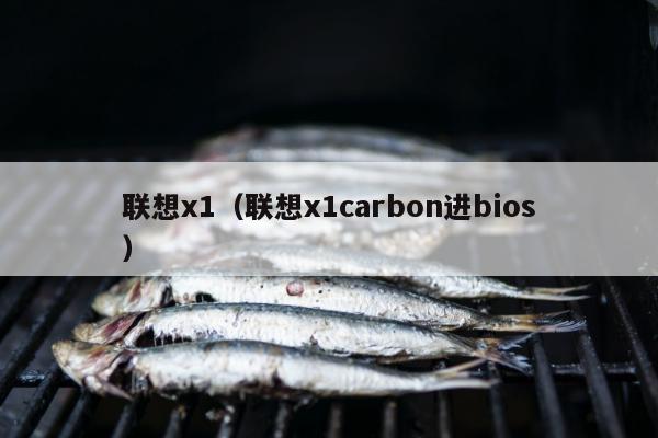 联想x1（联想x1carbon进bios）