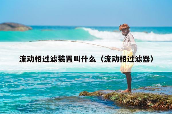 流动相过滤装置叫什么（流动相过滤器）