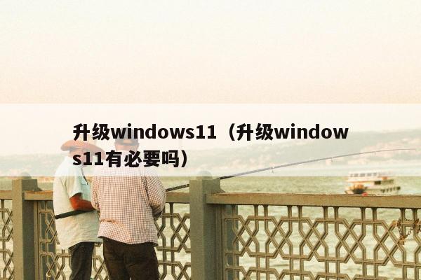 升级windows11（升级windows11有必要吗）