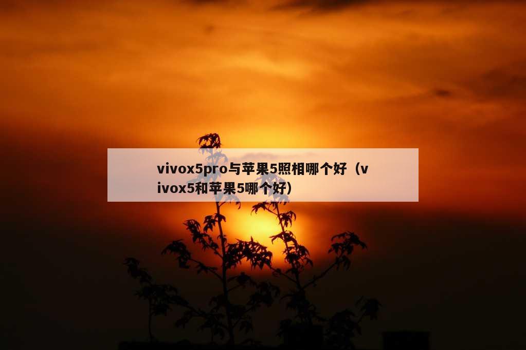 vivox5pro与苹果5照相哪个好（vivox5和苹果5哪个好）