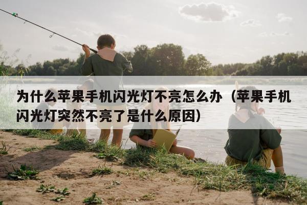 为什么苹果手机闪光灯不亮怎么办（苹果手机闪光灯突然不亮了是什么原因）