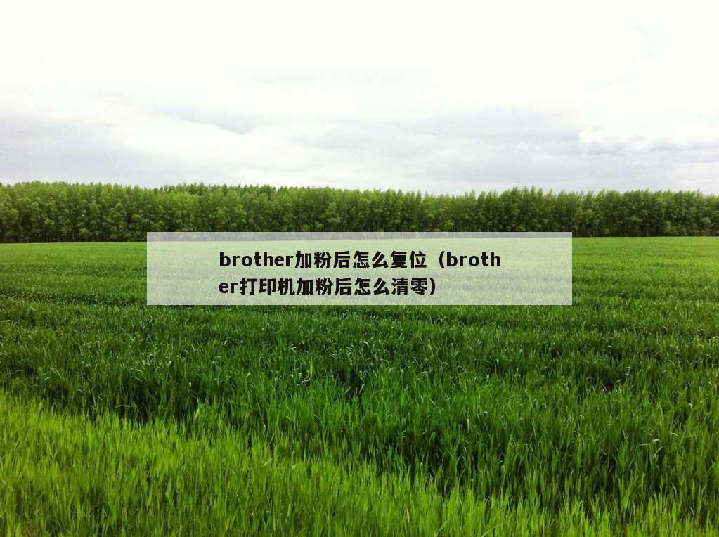 brother加粉后怎么复位（brother打印机加粉后怎么清零）