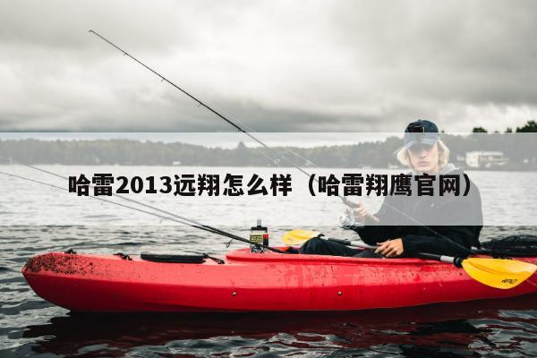 哈雷2013远翔怎么样（哈雷翔鹰官网）