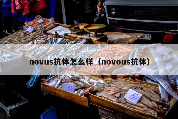 novus抗体怎么样（novous抗体）