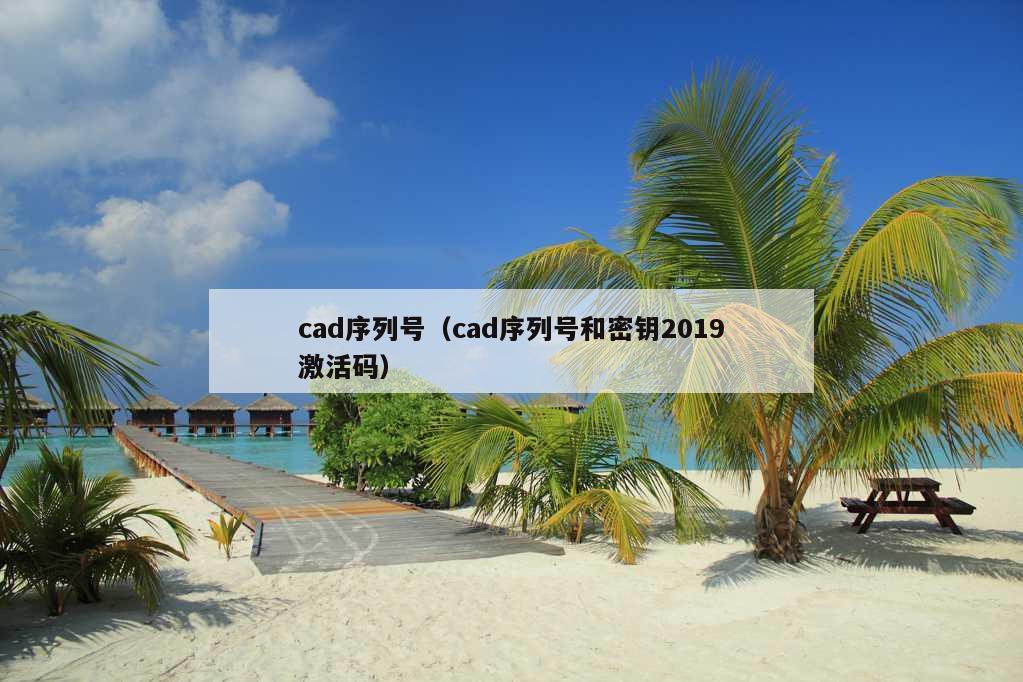 cad序列号（cad序列号和密钥2019激活码）