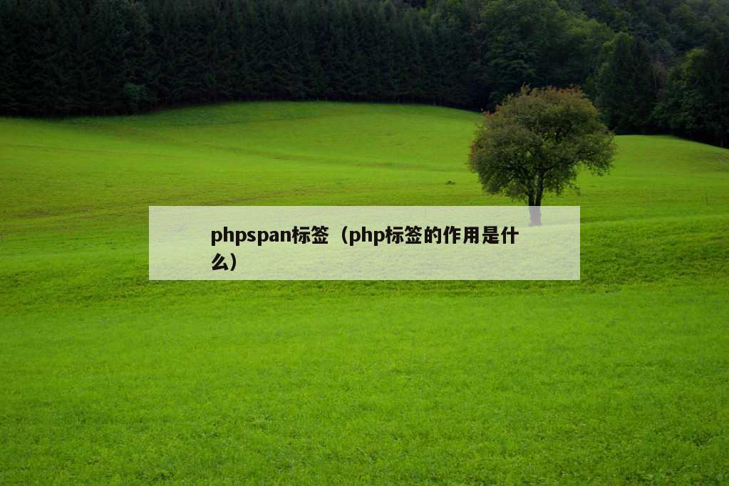 phpspan标签（php标签的作用是什么）