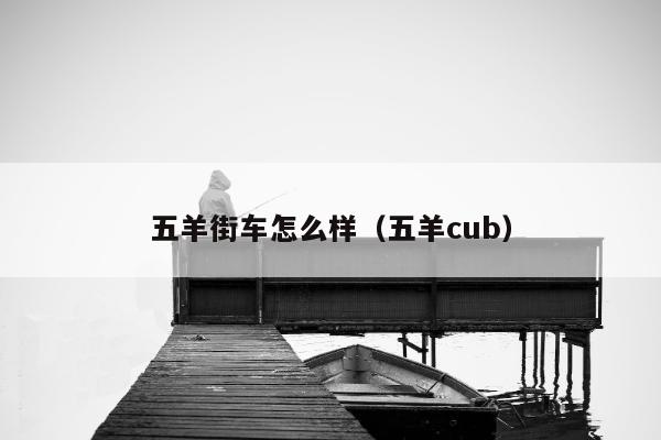 五羊街车怎么样（五羊cub）