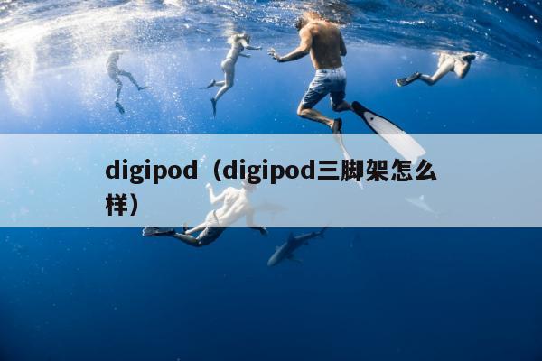 digipod（digipod三脚架怎么样）