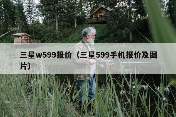 三星w599报价（三星599手机报价及图片）