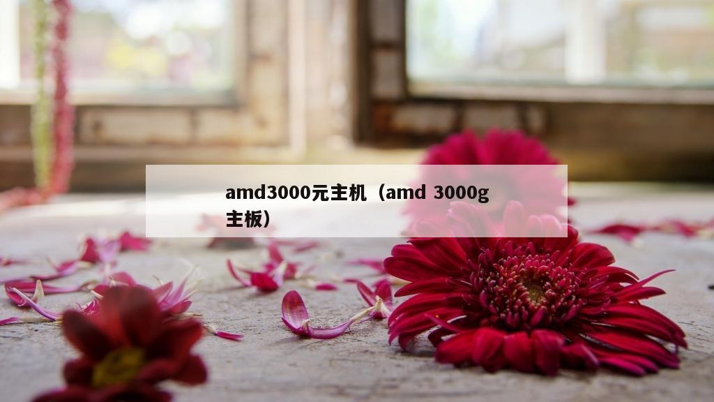 amd3000元主机（amd 3000g主板）