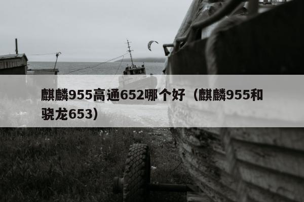 麒麟955高通652哪个好（麒麟955和骁龙653）