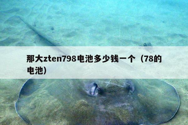 那大zten798电池多少钱一个（78的电池）