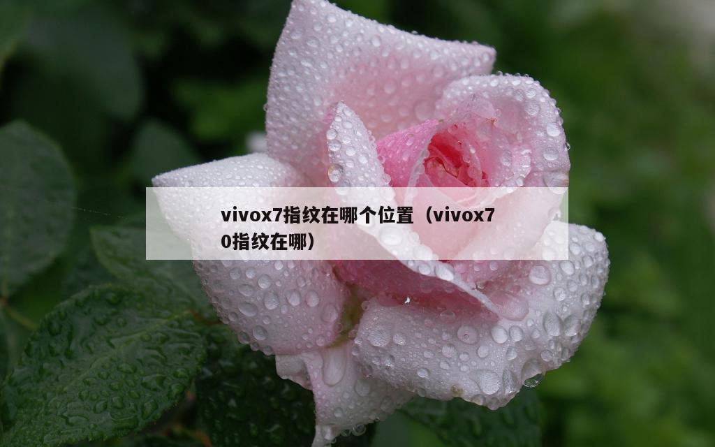 vivox7指纹在哪个位置（vivox70指纹在哪）