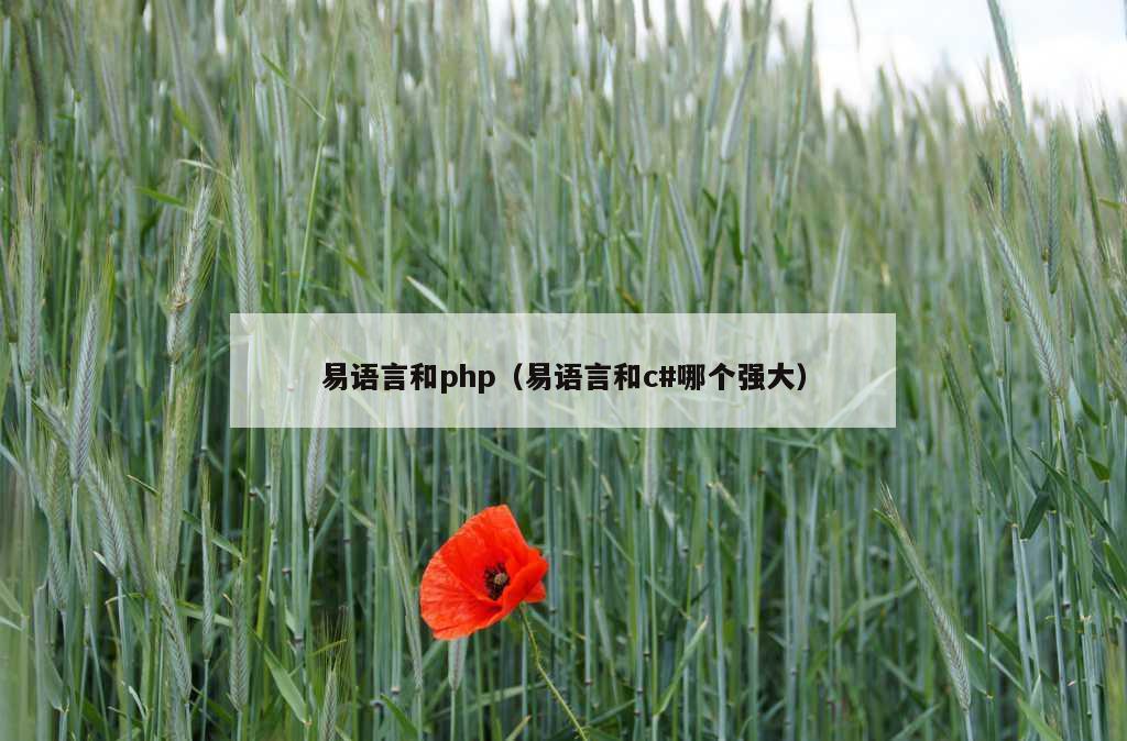 易语言和php（易语言和c#哪个强大）