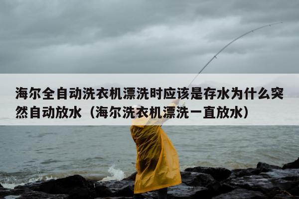 海尔全自动洗衣机漂洗时应该是存水为什么突然自动放水（海尔洗衣机漂洗一直放水）