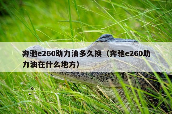 奔驰e260助力油多久换（奔驰e260助力油在什么地方）