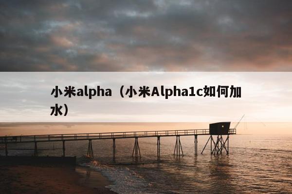 小米alpha（小米Alpha1c如何加水）