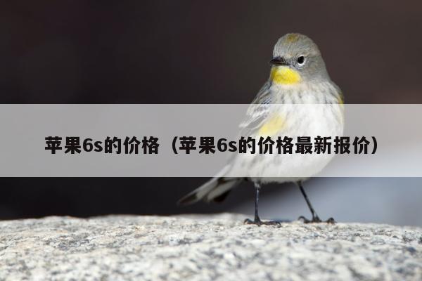 苹果6s的价格（苹果6s的价格最新报价）