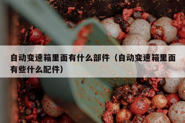 自动变速箱里面有什么部件（自动变速箱里面有些什么配件）