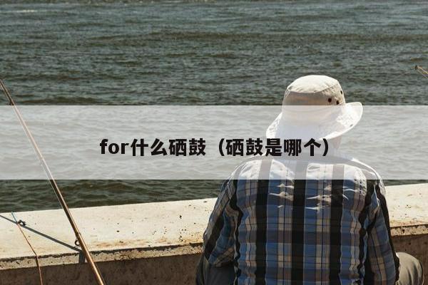 for什么硒鼓（硒鼓是哪个）