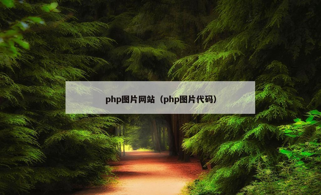 php图片网站（php图片代码）