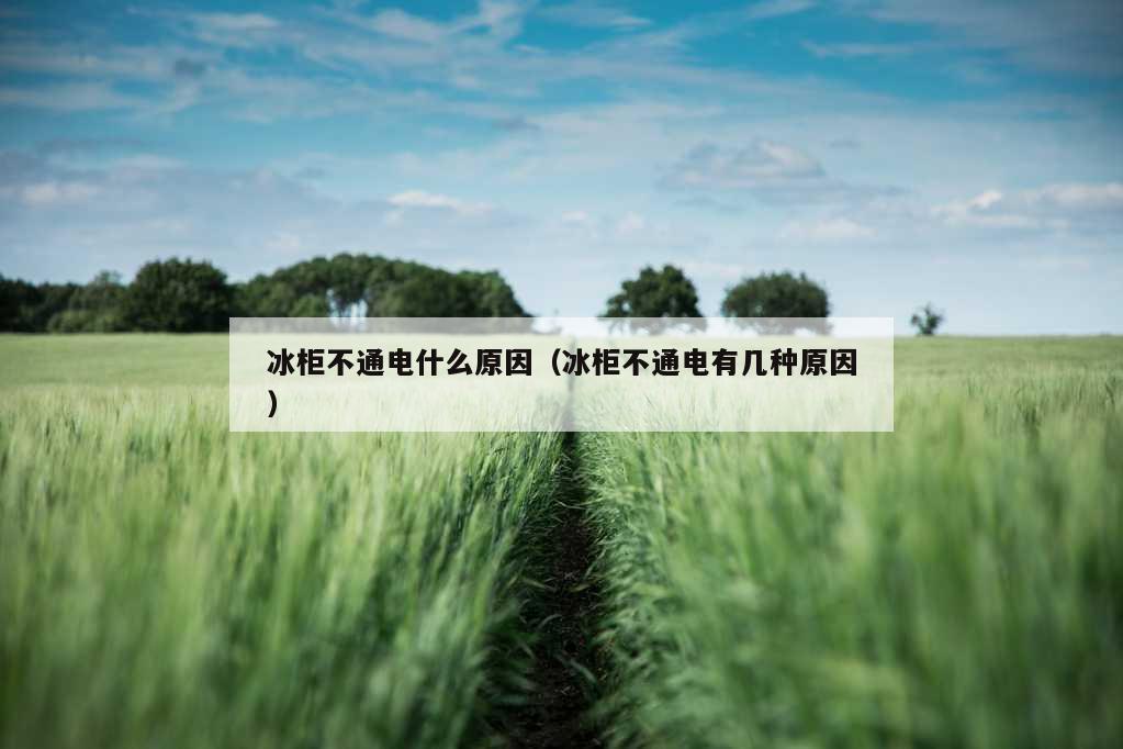 冰柜不通电什么原因（冰柜不通电有几种原因）