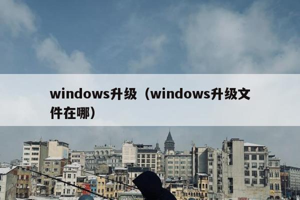 windows升级（windows升级文件在哪）