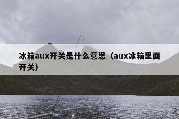 冰箱aux开关是什么意思（aux冰箱里面开关）