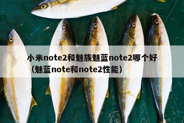 小米note2和魅族魅蓝note2哪个好（魅蓝note和note2性能）