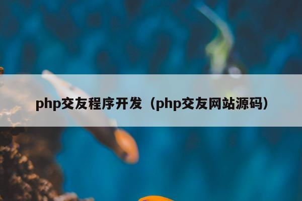 php交友程序开发（php交友网站源码）