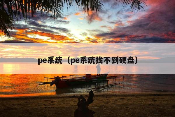 pe系统（pe系统找不到硬盘）