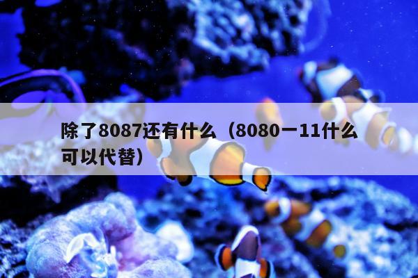 除了8087还有什么（8080一11什么可以代替）