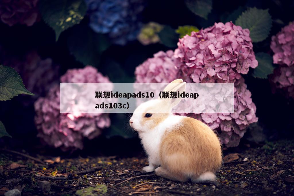 联想ideapads10（联想ideapads103c）