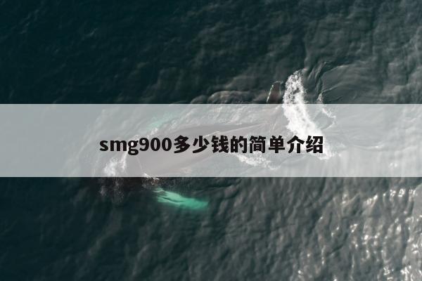 smg900多少钱的简单介绍