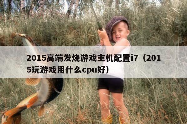 2015高端发烧游戏主机配置i7（2015玩游戏用什么cpu好）