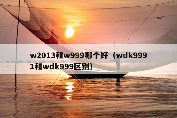 w2013和w999哪个好（wdk9991和wdk999区别）