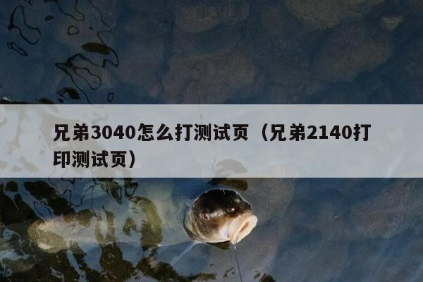 兄弟3040怎么打测试页（兄弟2140打印测试页）