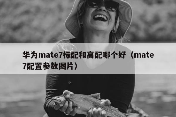 华为mate7标配和高配哪个好（mate7配置参数图片）