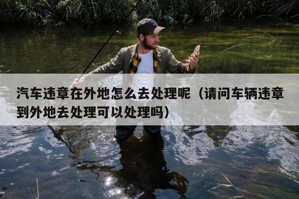 汽车违章在外地怎么去处理呢（请问车辆违章到外地去处理可以处理吗）