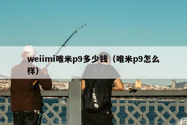 weiimi唯米p9多少钱（唯米p9怎么样）