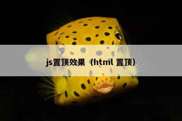 js置顶效果（html 置顶）