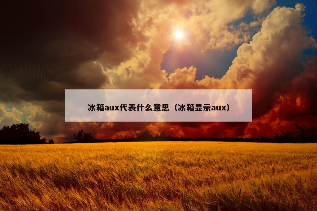 冰箱aux代表什么意思（冰箱显示aux）