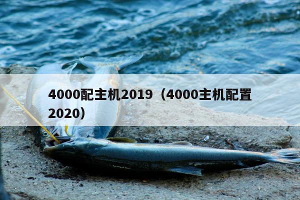 4000配主机2019（4000主机配置2020）